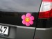 Mosolygós virág - rózsaszín - 15x15 cm.